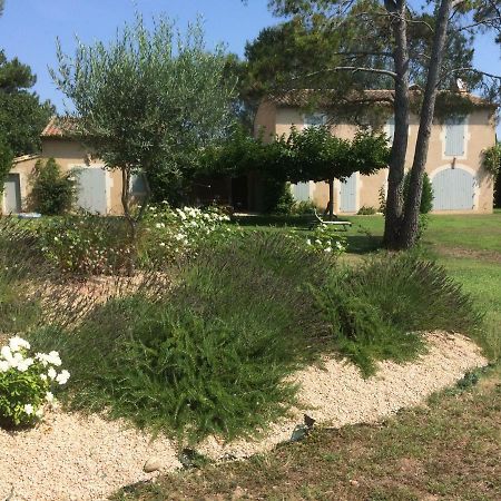 Les Amarines Villa Saint-Remy-de-Provence Exterior photo